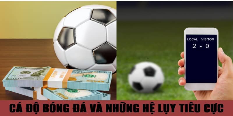 Cá độ bóng đá và những hệ lụy tiêu cực cần lưu ý