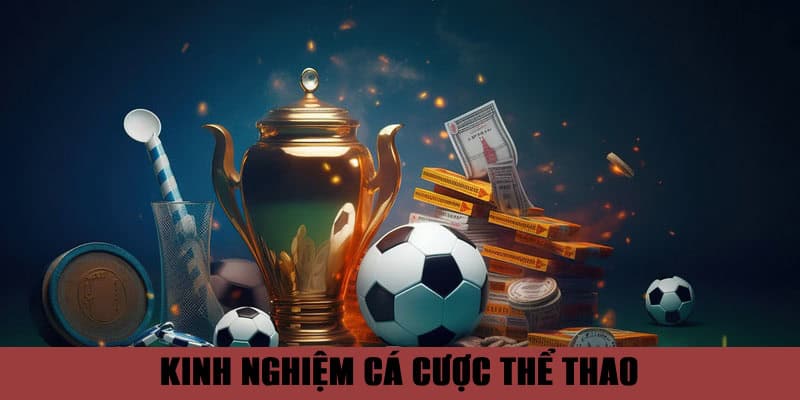 Kinh nghiệm giúp cá độ thể thao ăn đậm tiền thưởng